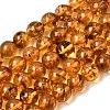 Natural Amber Beads Strands G-K376-H02-02-2