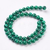 Synthetic Malachite Beads Strands X-TURQ-P028-04-8mm-2