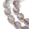 Natural Amethyst Beads Strands G-Z034-F11-01-4