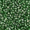 Picasso Baking Paint Glass Seed Beads SEED-N007-35E-3