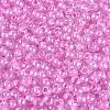 FGB Glass Seed Beads SEED-Q040-08A-07-3