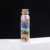 Transparent Glass Wishing Bottle Decoration PW-WG92605-01-4