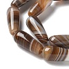 Natural Banded Agate Beads Strands G-NH0001-I01-01-4