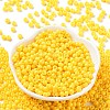 Baking Paint Glass Seed Beads SEED-H002-I-B502-2