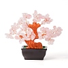 Natural Rose QuartzChips Money Tree Bonsai Display Decorations DJEW-B007-08F-1