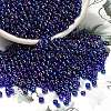 FGB 8/0 Grade A Round Glass Seed Beads SEED-Q010-3mm-F544-1