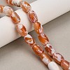 Natural Agate(Dyed & Heated ) Beads Strands G-D341-A01-1