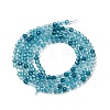 Transparent Glass Beads Strands GLAA-H027-01E-3