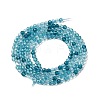 Transparent Glass Beads Strands GLAA-H027-01E-3