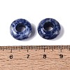 Natural Blue Spot Jasper European Beads G-N359-17A-07-3