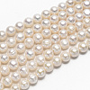 Natural Cultured Freshwater Pearl Beads PEAR-D058-1-2