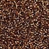 MIYUKI Delica Beads SEED-X0054-DB2524-3