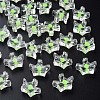 Transparent Acrylic Beads LS-MACR-S373-105-B06-1
