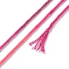 10 Skeins 6-Ply Polyester Embroidery Floss OCOR-K006-A56-3