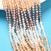 Natural Cultured Freshwater Pearl Beads Strands PEAR-C004-10-1