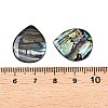 Natural Paua Shell Teardrop Cabochons SSHEL-T017-10-3