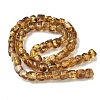 Natural Amber Beads Strands G-L095-E01-06-3