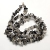 Natural Black Rutilated Quartz Beads Strands G-P035-17-3