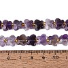Natural Amethyst Beads Strands G-N371-10A-04-5