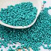 Baking Paint Glass Seed Beads SEED-S042-05B-57-1