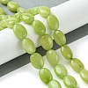 Natural Jade Beads Strands G-K365-B03-01-2