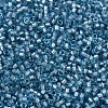 MIYUKI Delica Beads SEED-X0054-DB2383-3