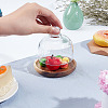 Clear Glass Dessert/Cake Cloche Dome Display Cases ODIS-WH0029-30-3
