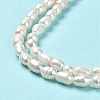 Natural Cultured Freshwater Pearl Beads Strands PEAR-E016-150-4