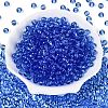FGB Transparent Glass Seed Beads SEED-N013-01B-06-2