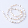 Natural Cultured Freshwater Pearl Beads Strands PEAR-S010-04-2