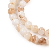 Natural Freshwater Shell Beads Strands X-SHEL-T011-02-6mm-3