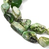 Natural Serpentine Beads Strands G-D098-C06-4