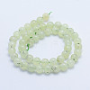 Natural Prehnite Beads Strands G-L478-37-8mm-3