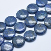 Natural Lapis Lazuli Beads Strands G-E446-01-24mm-1