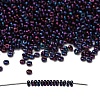 TOHO 6/0 Demi Round Beads X-SEED-DR06-0504-1