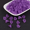Transparent Acrylic Beads PL622-C17-1