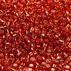 Glass Seed Beads X1-SEED-S042-04A-10-3