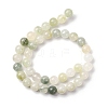 Natural Gemstone Beads Strands G-F808-C02-10mm-3