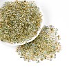 6/0 Gradient Color Glass Seed Beads SEED-N007-36E-1