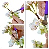 5Pcs Nylon Cake Brush Set AJEW-WH20064-84-5