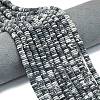 Frosted Natural Black Netstone Beads Strands G-K389-C24-01-1