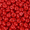 Opaque Colours Glass Seed Beads SEED-Q042-01A-D05-3