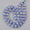 Handmade Lampwork Beads Strands LAMP-N021-007B-2