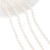  2 Strands Natural Cultured Freshwater Pearl Beads Strands PEAR-NB0001-12-1