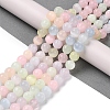 Macaron Color Natural Selenite Beads Strands G-Q162-A01-02A-02-2