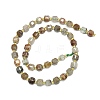 Natural Lodolite Quartz Beads Strand G-I376-D48-01-2