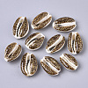 Natural Cowrie Shell Beads SSHEL-N034-36B-1