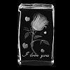 Transparent Glass Display Decorations DJEW-WH0010-42-1