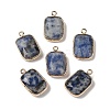 Natural Blue Spot Jasper Faceted Pendants G-Q169-06G-02-1