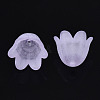 Transparent Acrylic Bead Caps FACR-N005-002F-3